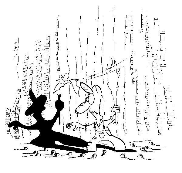 Click below to see the next picture