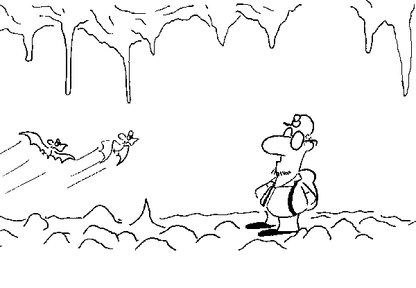 Click below to see the next picture