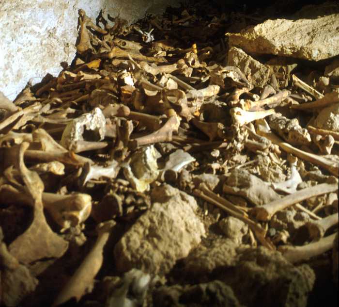 Fig 3: Cache of mixed bones