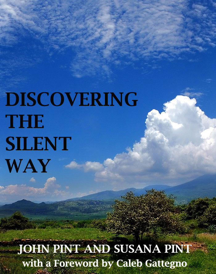 Discovering the Silent Way by John and Susana Pint