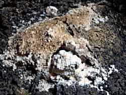 Unknown white flaky substance inside Qidr lava tube