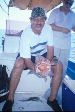 Luck counts too: Khalid's big najil grouper
