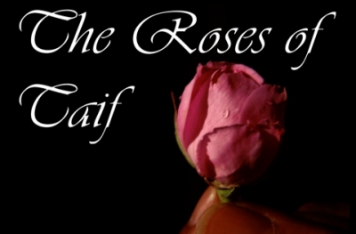 The Roses of Taif