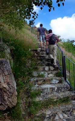 Stairway to Bosque Alto