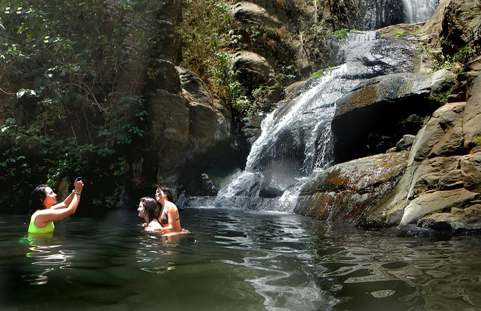 Frolicking in the clean, cool pool