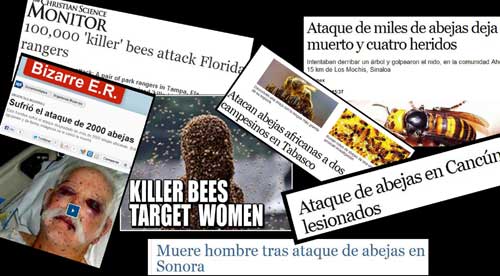 Headlines re Bee attacks in the USA and Mexico