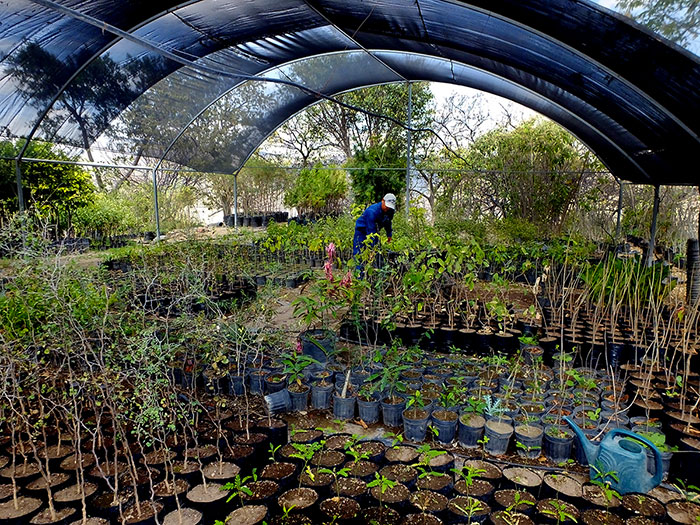 Greenhouse at Huentitan Botanical Garden