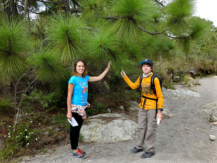Kristina and Cristhian with Michoacan Pine Tree