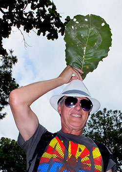 Richard with Quercus resinosa leaf