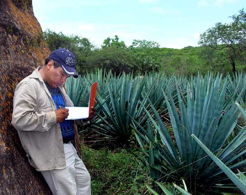 Carlos Lopez, Mexican archaeologist, near Tuxcueca