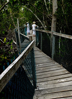 Boardwalk at La Manzanilla Crocodile Sanctuary