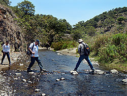 UDG researchers crossing Rio Caliente