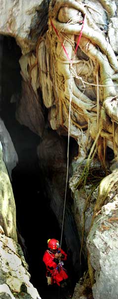 Cocodrilo Barragan in Higuerita Cave, Canutillo, Jalisco, Mexico