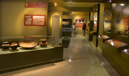Tala's Modern Museum