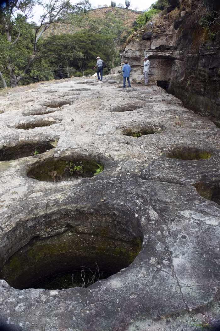 Oldest tequila distillery in Jalisco