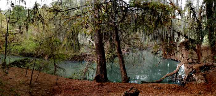 Camp site at Rio de la Pasion