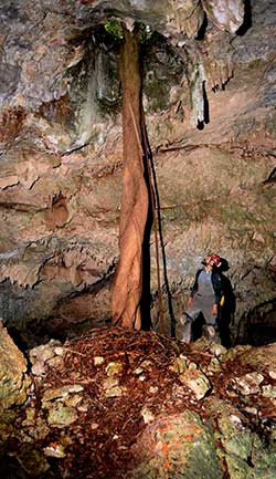 Daniel Matakanes in Cueva Caraveo - Photo by Chris Lloyd
