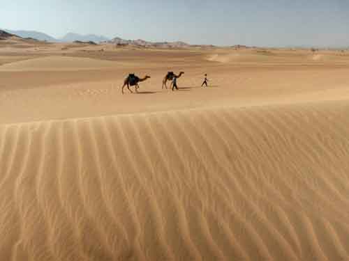 The three elements of Wadi al Safra: sand, stone, sky. The wadi is located southwest of Medina in Saudi Arabia. Photograph by Paul Salopek . Courtesy Out of Eden Walk.