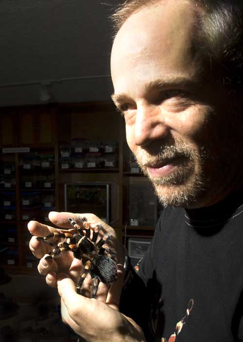 Rodrigo Orozco with Brachypelma smithi