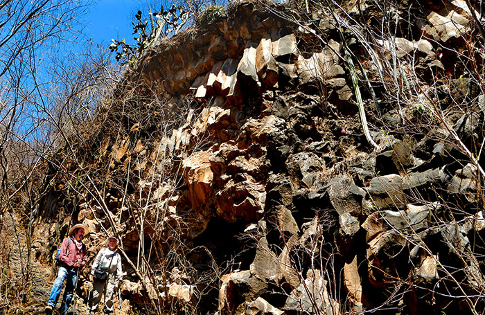 Basalt columns at Tequilizinta