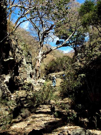 Picturesque hike up to the cave