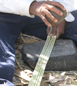 Hammer and anvil in use to flatten reeds for basket weaving