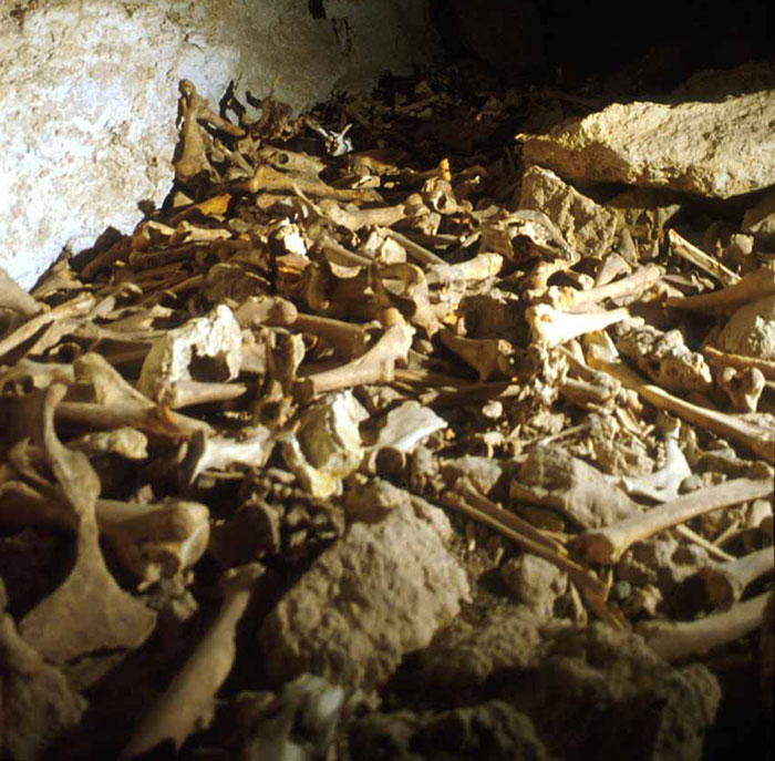 Bone cache in Black Scorpion Cave